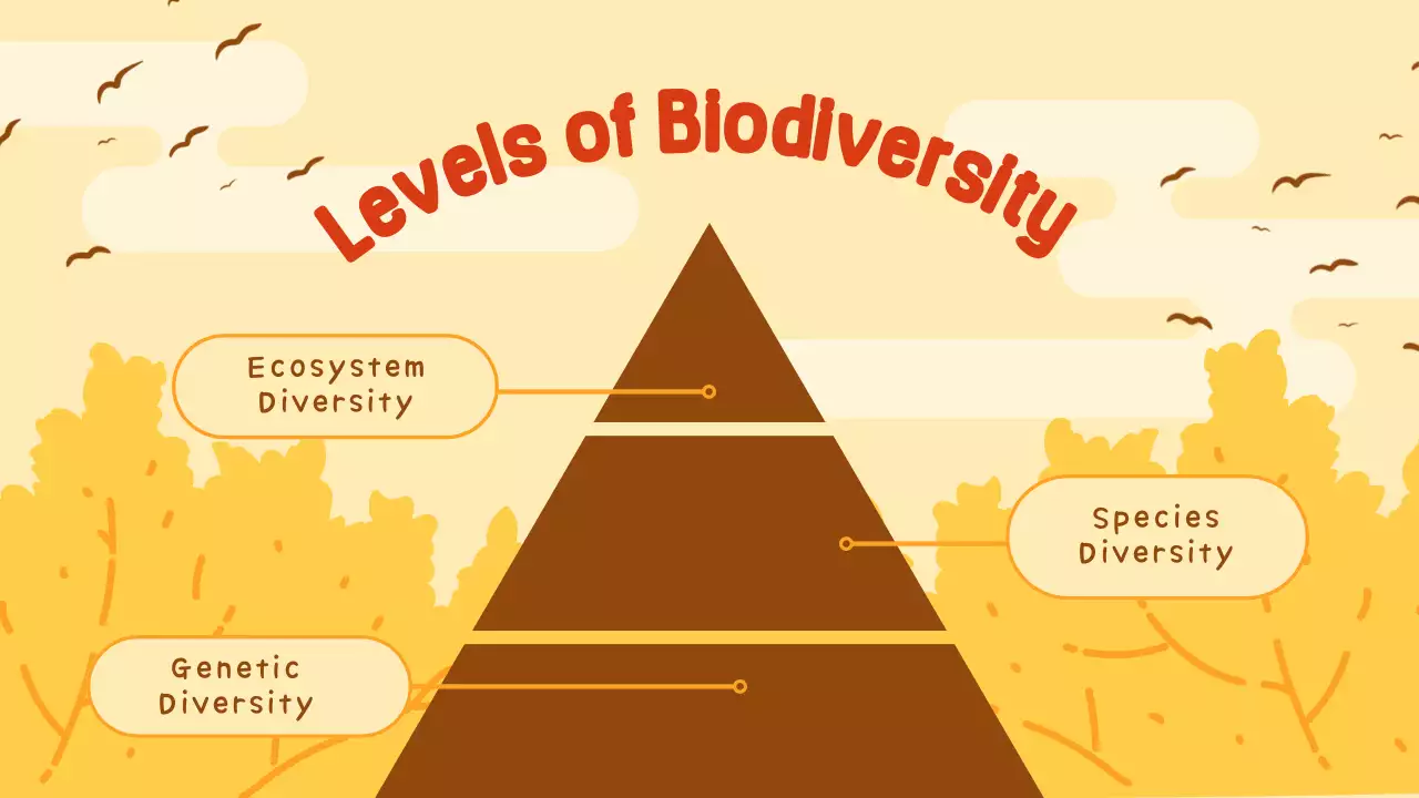 Orange Traditional Ecosystem Guide Presentation