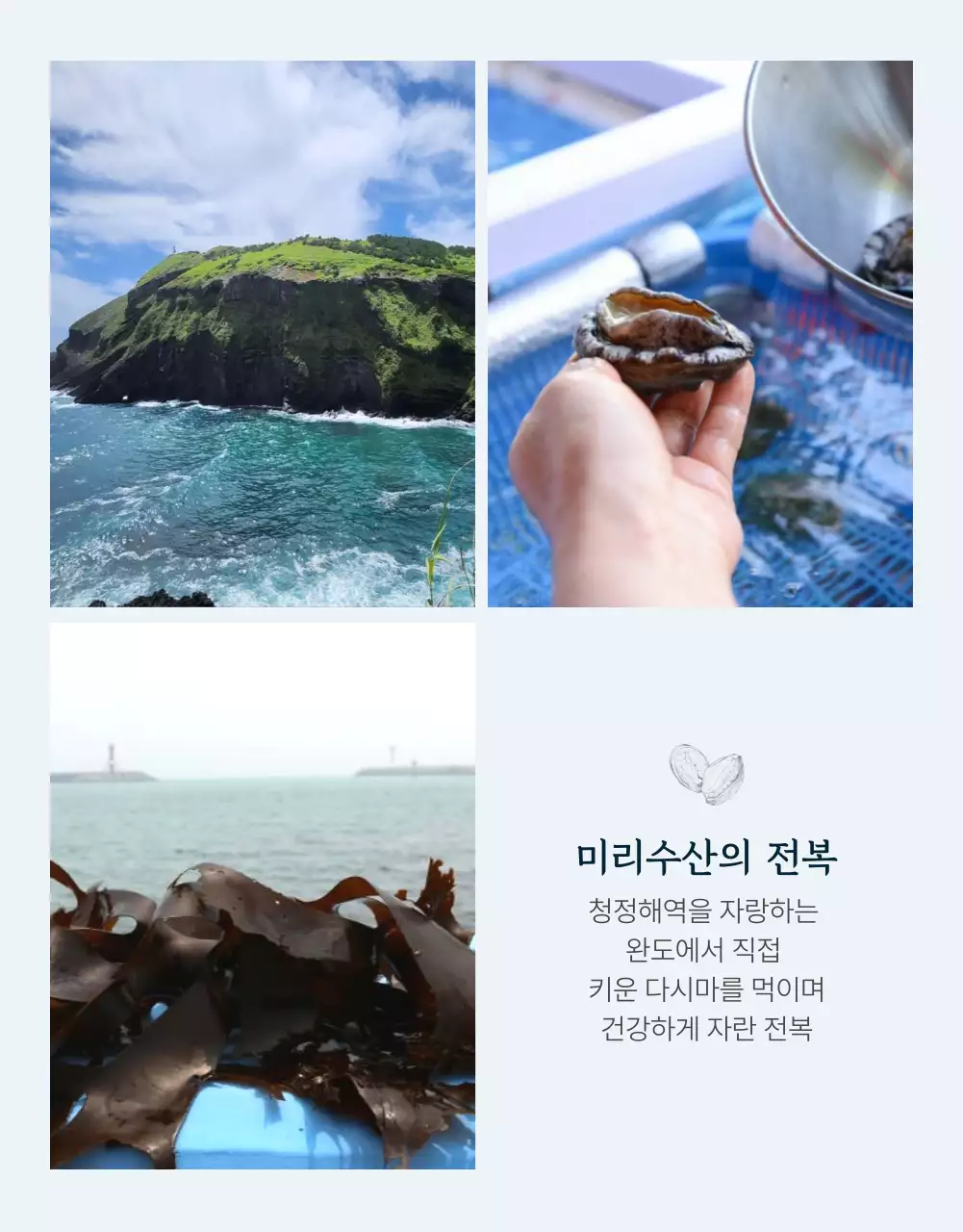 파랑과 남색의 전통적인 수산물 전복 사진 레이아웃 홍보