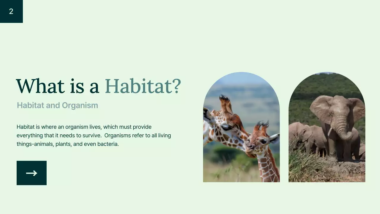 Green Educational Animal Lecture Presentation