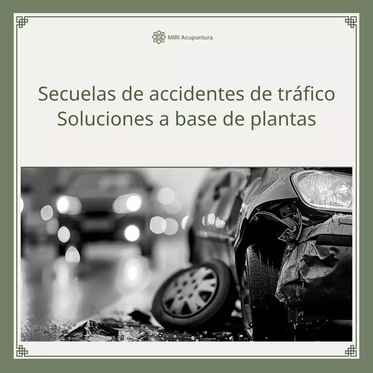Guía de soluciones herbales para accidentes de coche minimalistas en caqui y verde lima
