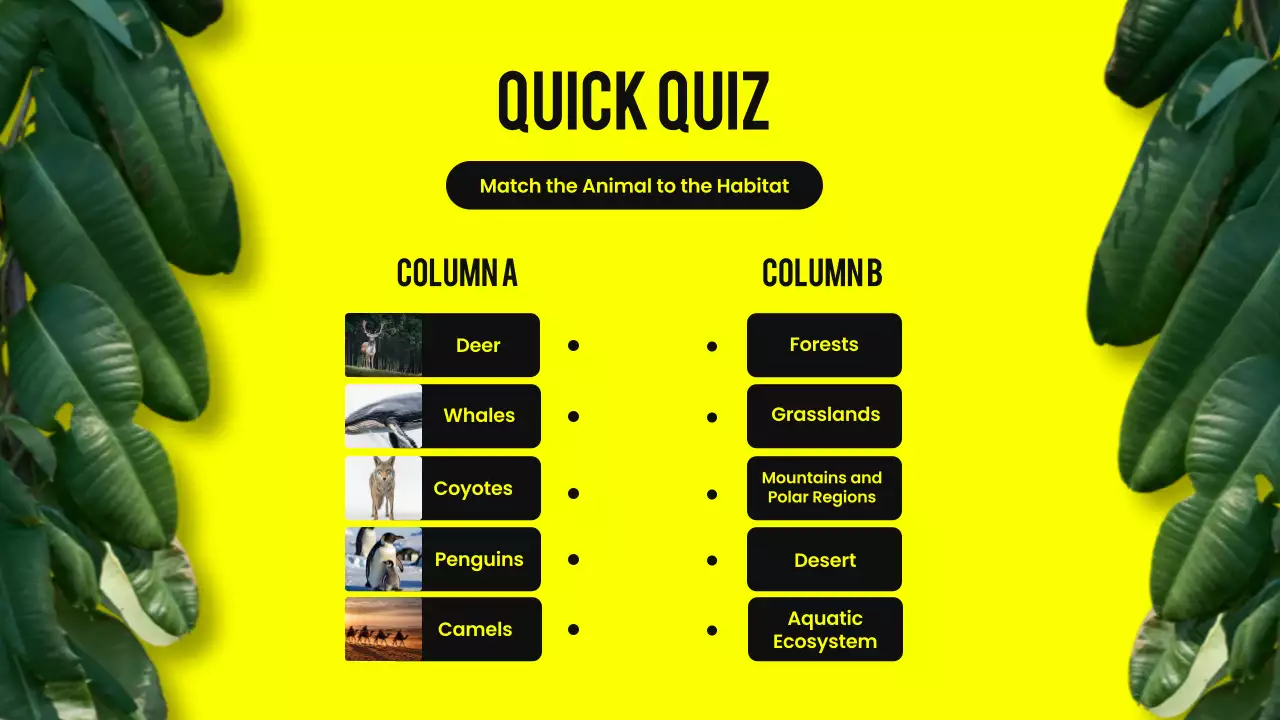 Yellow Modern Animal Lecture Presentation