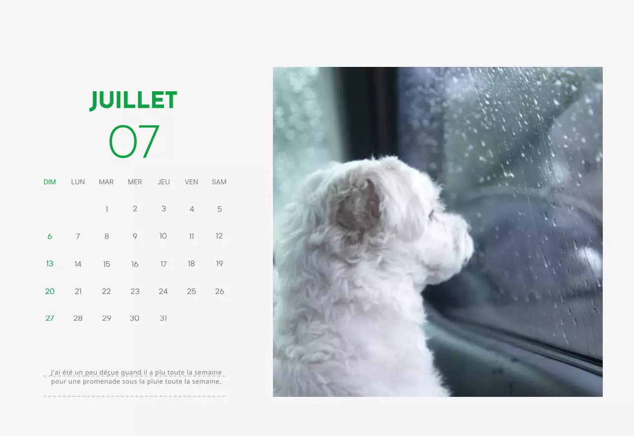 Un calendrier avec une photo de chiot et un message mignon dans une couleur verte.