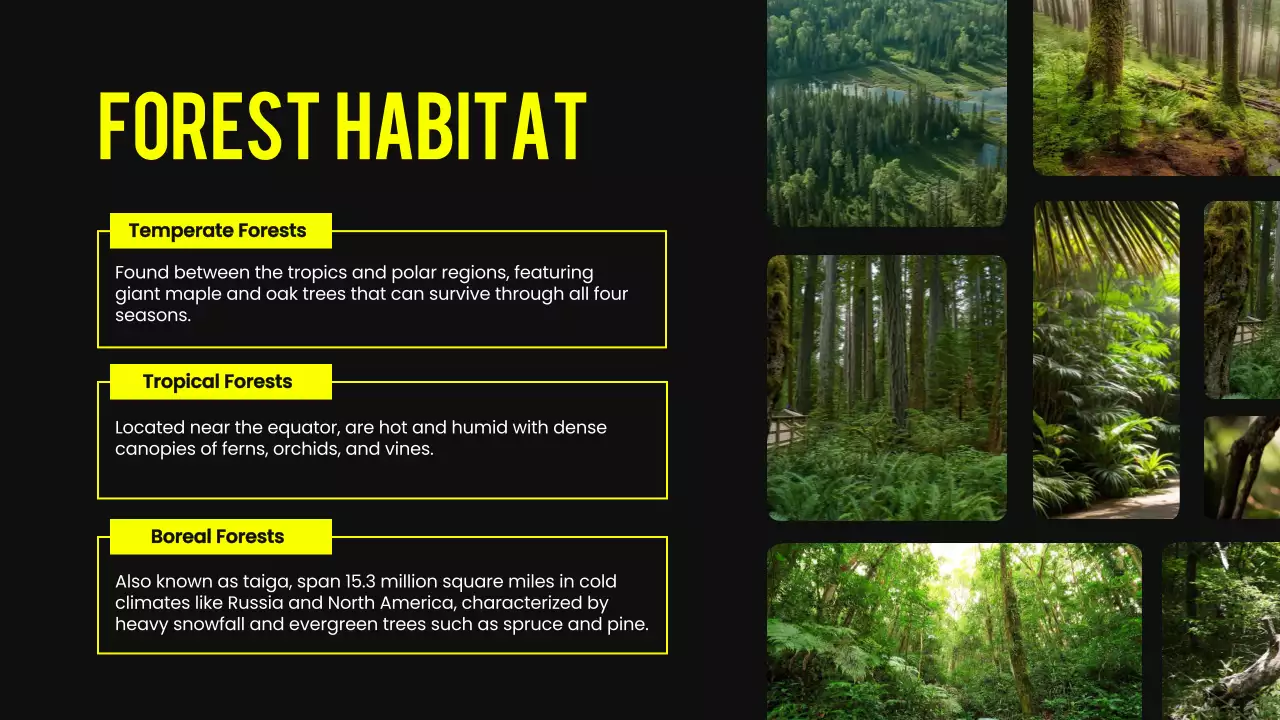 Yellow Modern Animal Lecture Presentation