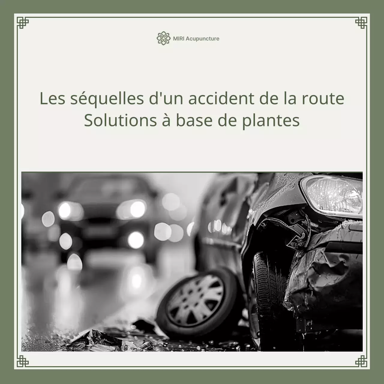 Guide de solutions à base de plantes pour les accidents de voiture kaki et vert lime