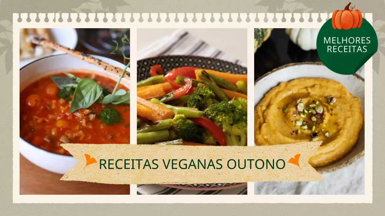 Receitas veganas outonais em tons de caqui e castanho
