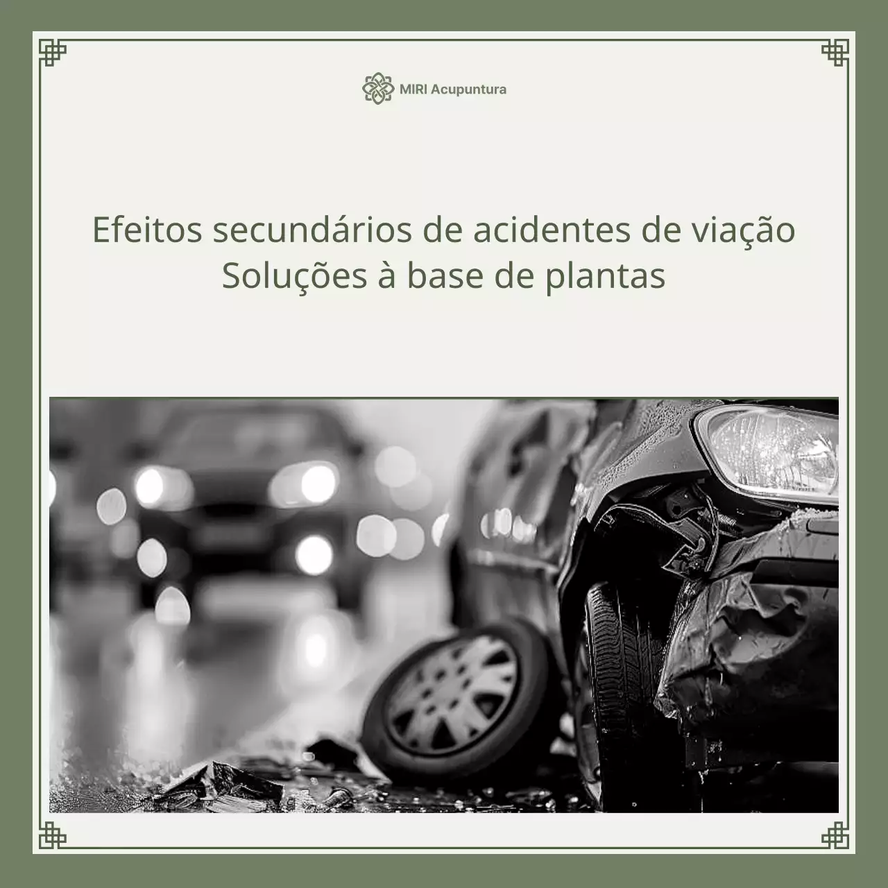 Guia de solução à base de ervas para acidentes de viação minimalista em caqui e verde-limão