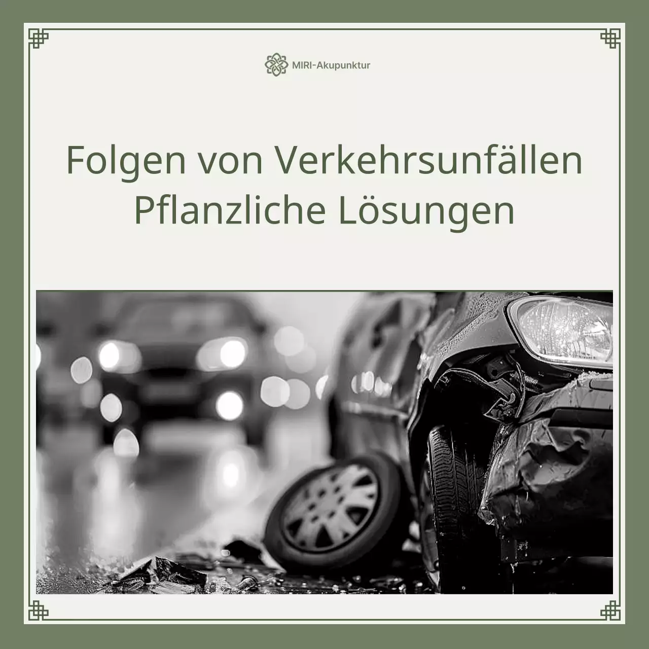 Khaki und lindgrün minimalistische Autounfall pflanzliche Lösung Leitfaden