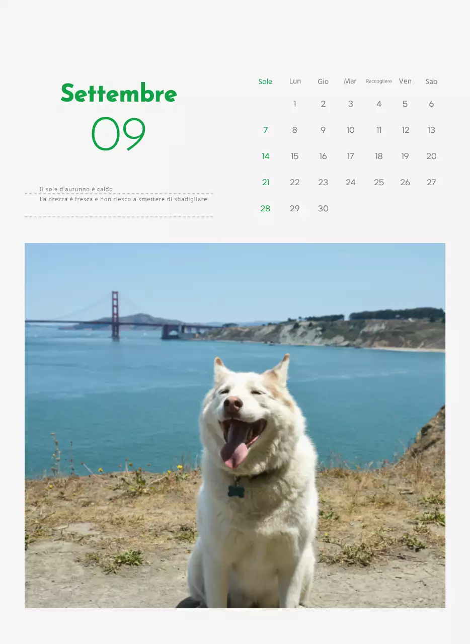 Un calendario con la foto di un cucciolo e un simpatico messaggio in colore verde.