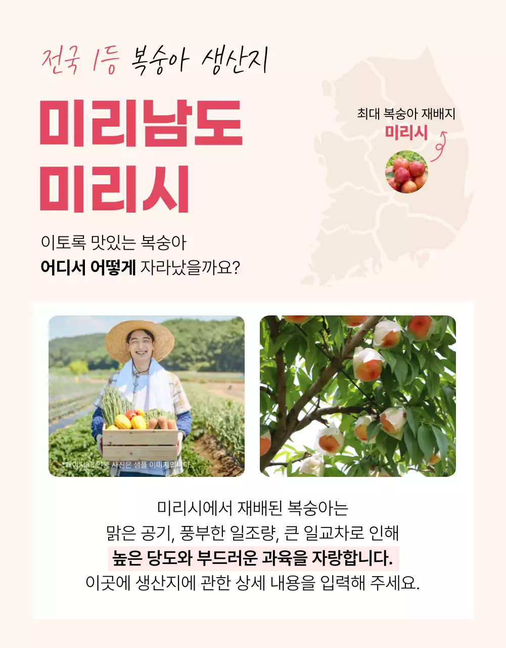 핑크의 기본적인 제철 과일 광고