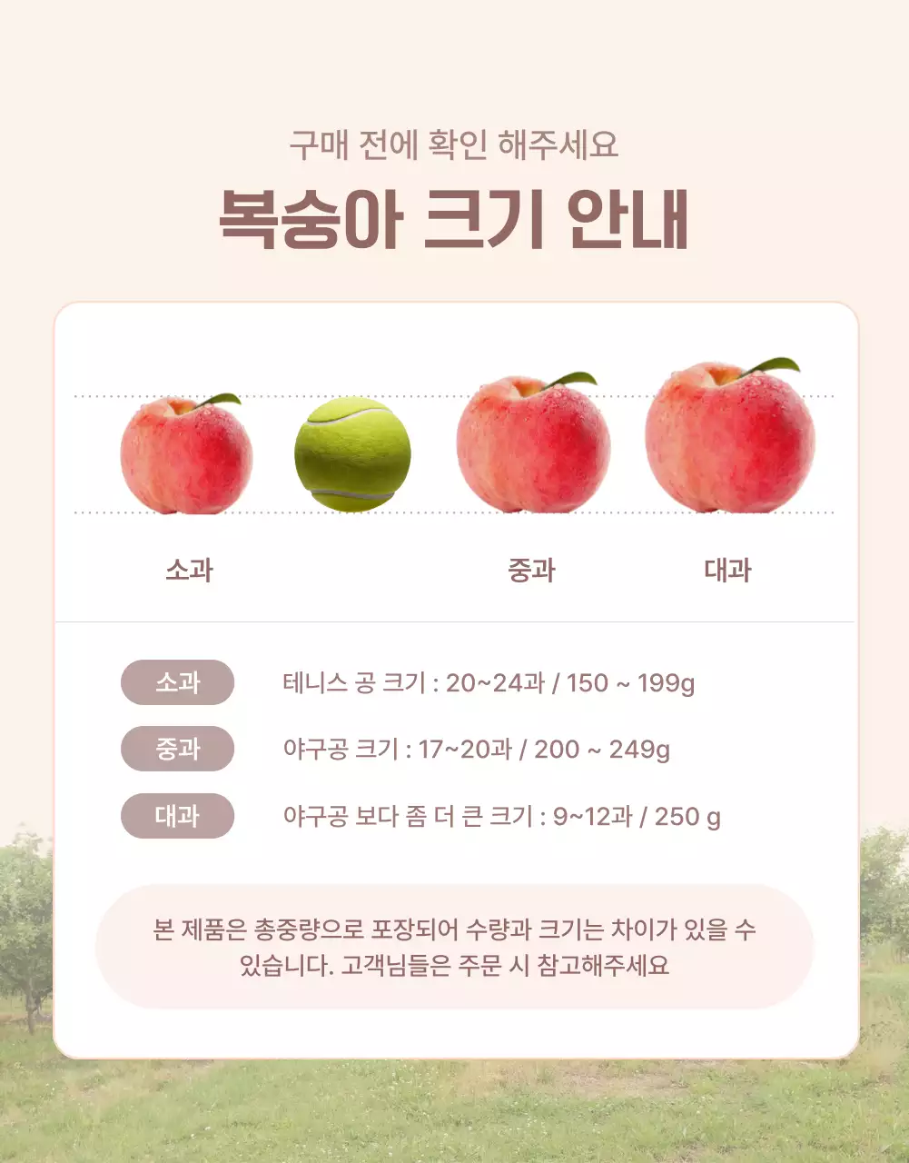 노랑과 핑크색의 깔끔한 상큼한 복숭아 안내 및 주의사항 홍보