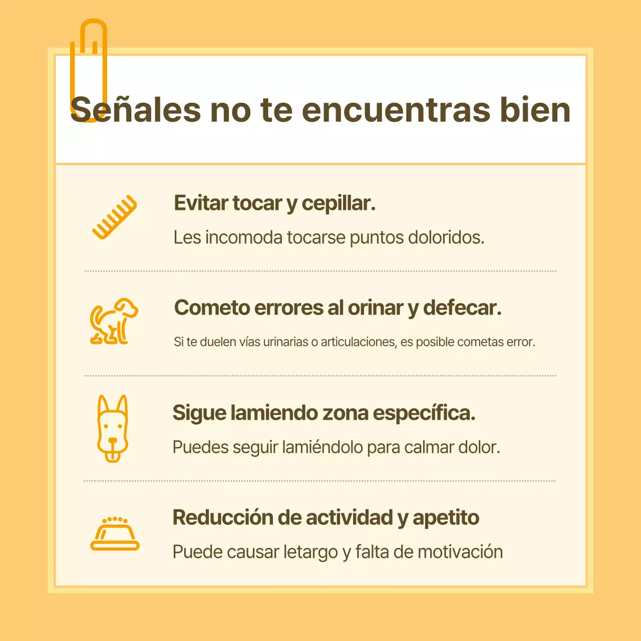 Información sanitaria para mascotas en blanco y amarillo