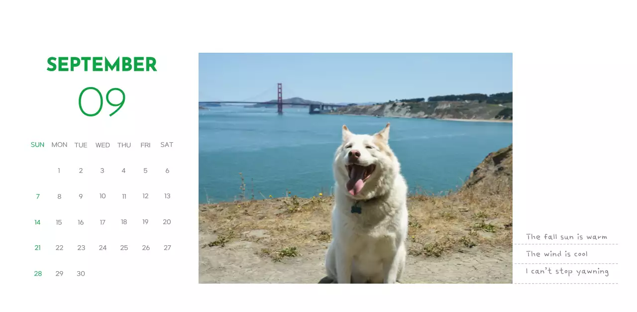 A calendar with a puppy photo and cute message in a green accent color