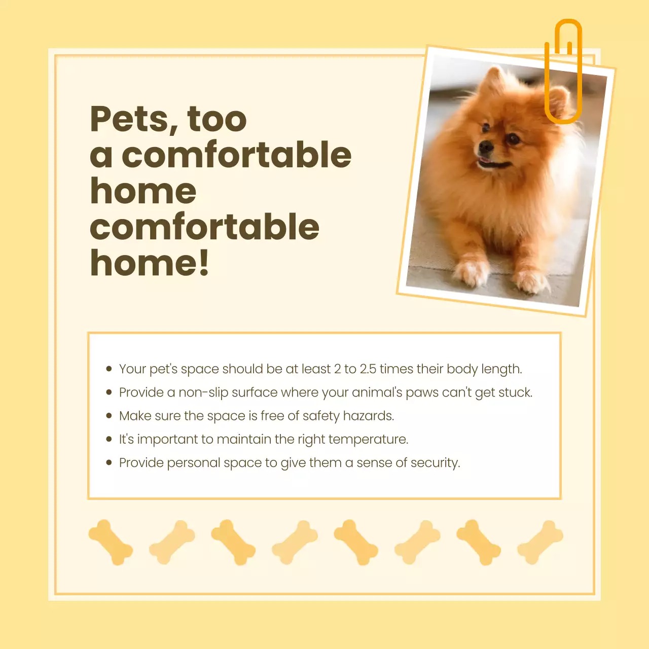 Beige Modern Pet Guide Instagram Carousel