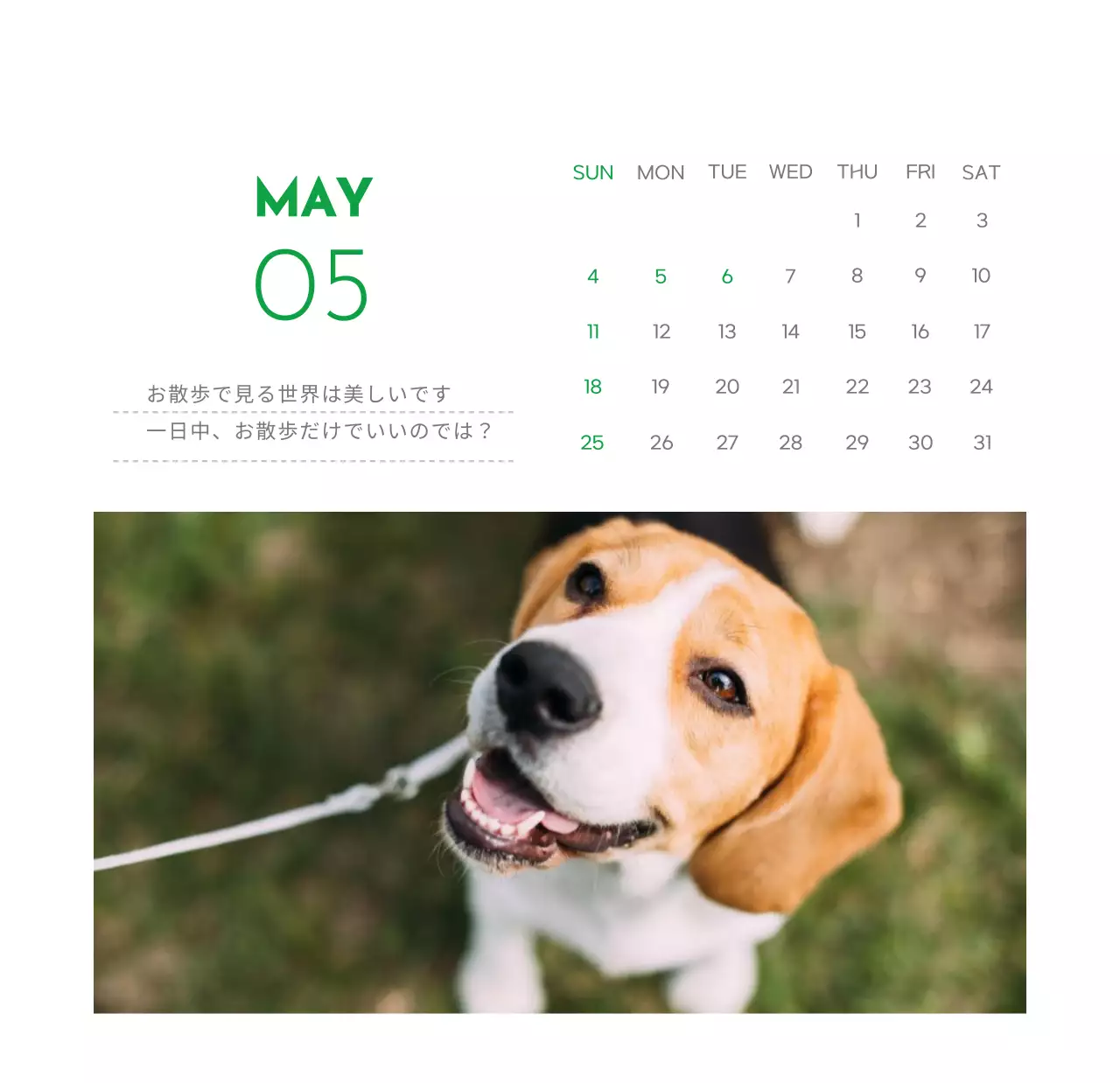 緑色のポイントカラーに子犬の写真とかわいいメッセージの入ったカレンダー