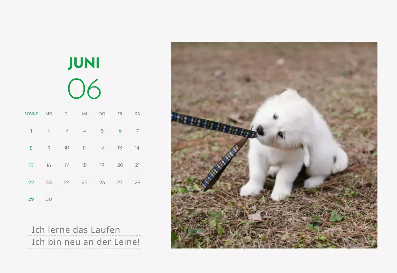 Ein Kalender mit einem Welpenfoto und einer süßen Botschaft in grüner Akzentfarbe