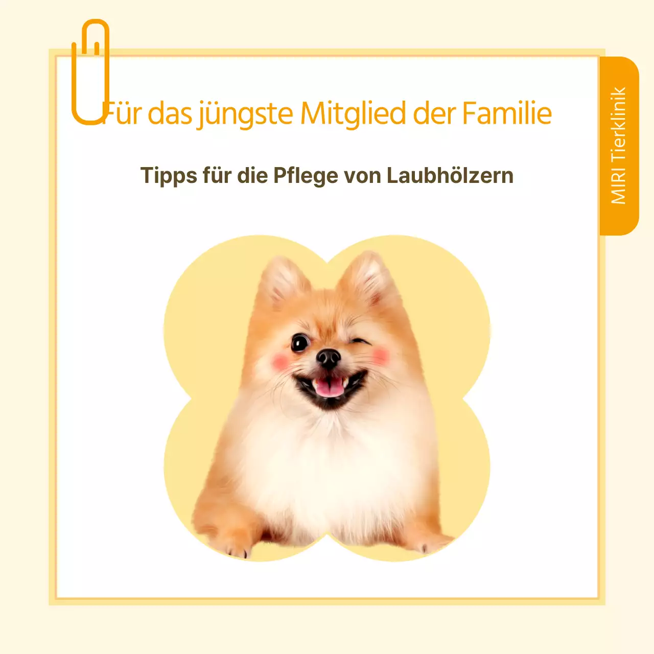 Informationen zur Gesundheitsfürsorge für Haustiere in Form von gelben und weißen Notizen