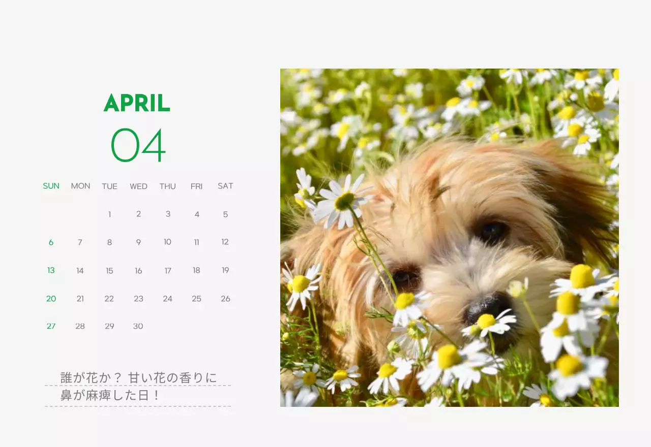 緑色のポイントカラーに子犬の写真とかわいいメッセージの入ったカレンダー