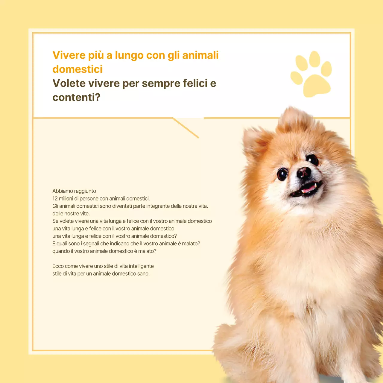 Informazioni sulla salute degli animali domestici in stile note gialle e bianche