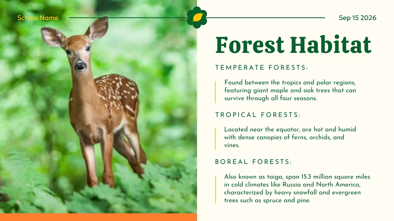 Yellow Educational Animal Guide Presentation