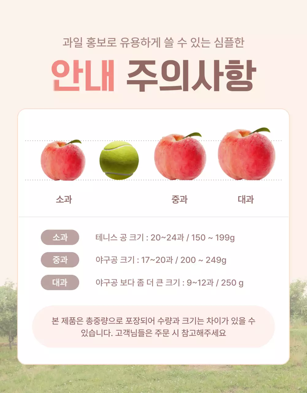 노랑과 핑크색의 깔끔한 상큼한 복숭아 안내 및 주의사항 홍보