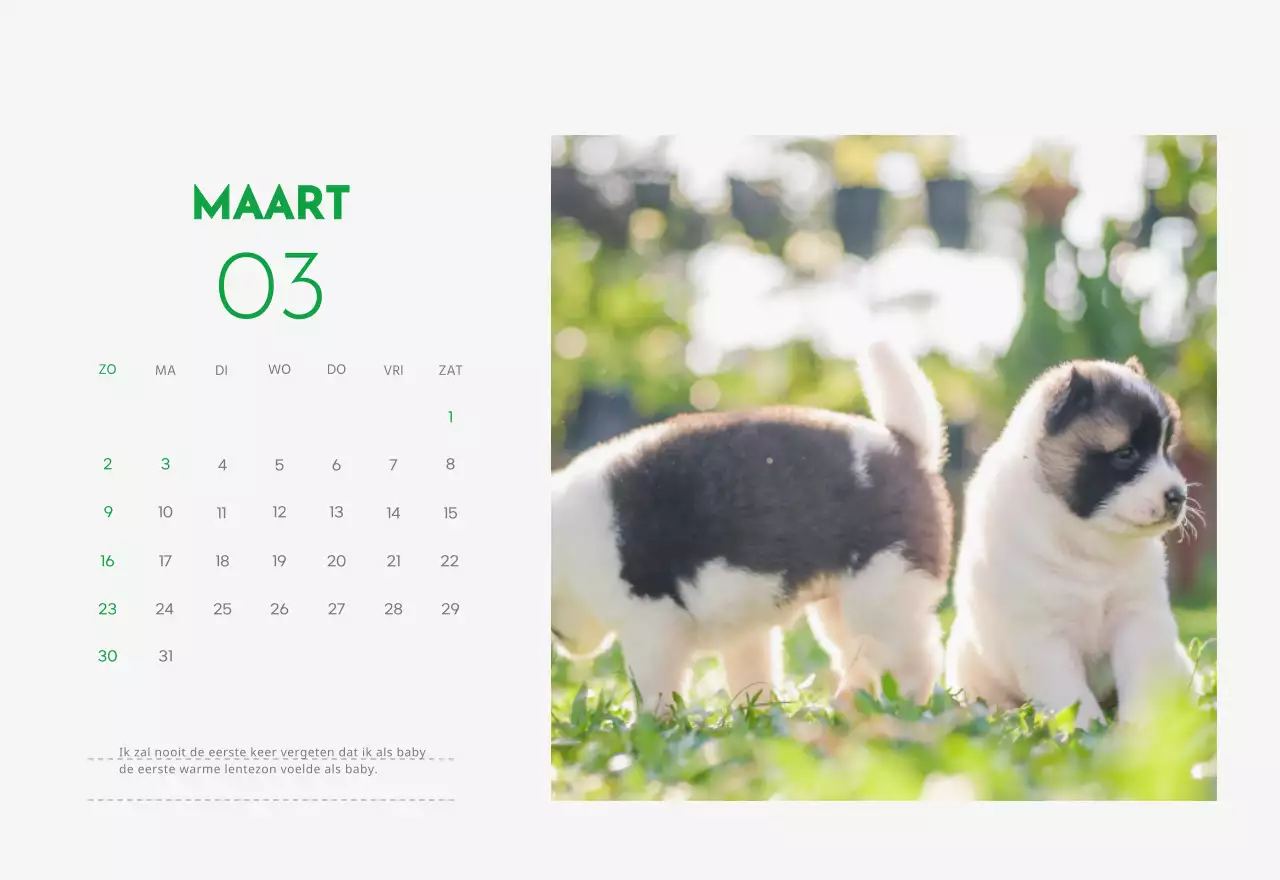 Een kalender met een puppyfoto en een schattige boodschap in groene accentkleur