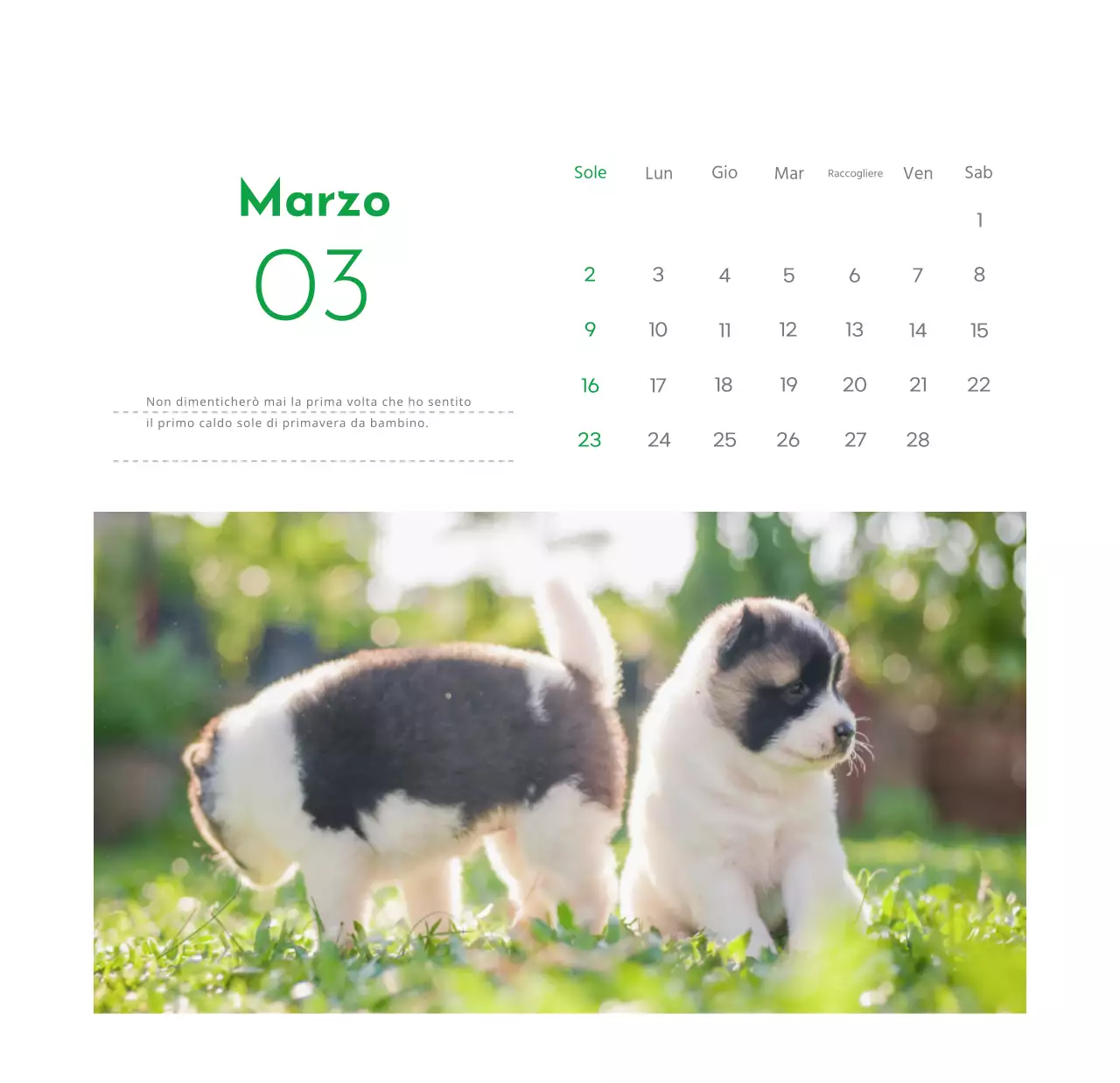 Un calendario con la foto di un cucciolo e un simpatico messaggio in colore verde.