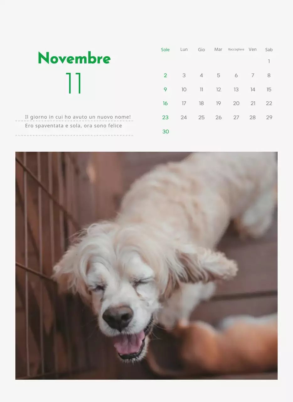Un calendario con la foto di un cucciolo e un simpatico messaggio in colore verde.