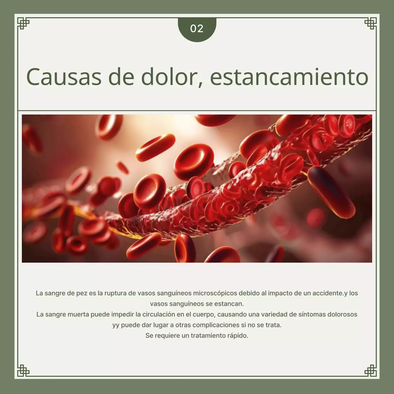 Guía de soluciones herbales para accidentes de coche minimalistas en caqui y verde lima