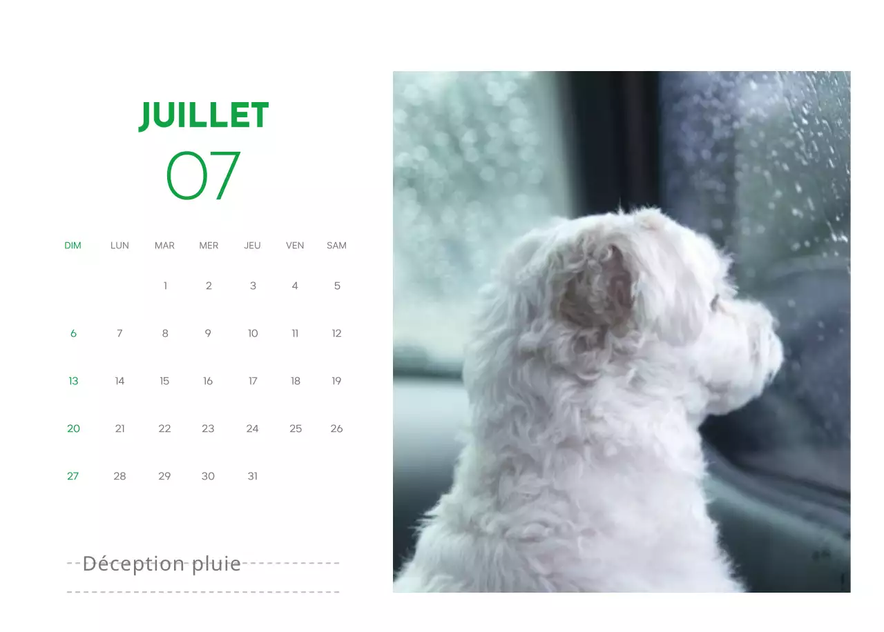 Un calendrier avec une photo de chiot et un message mignon dans une couleur verte.