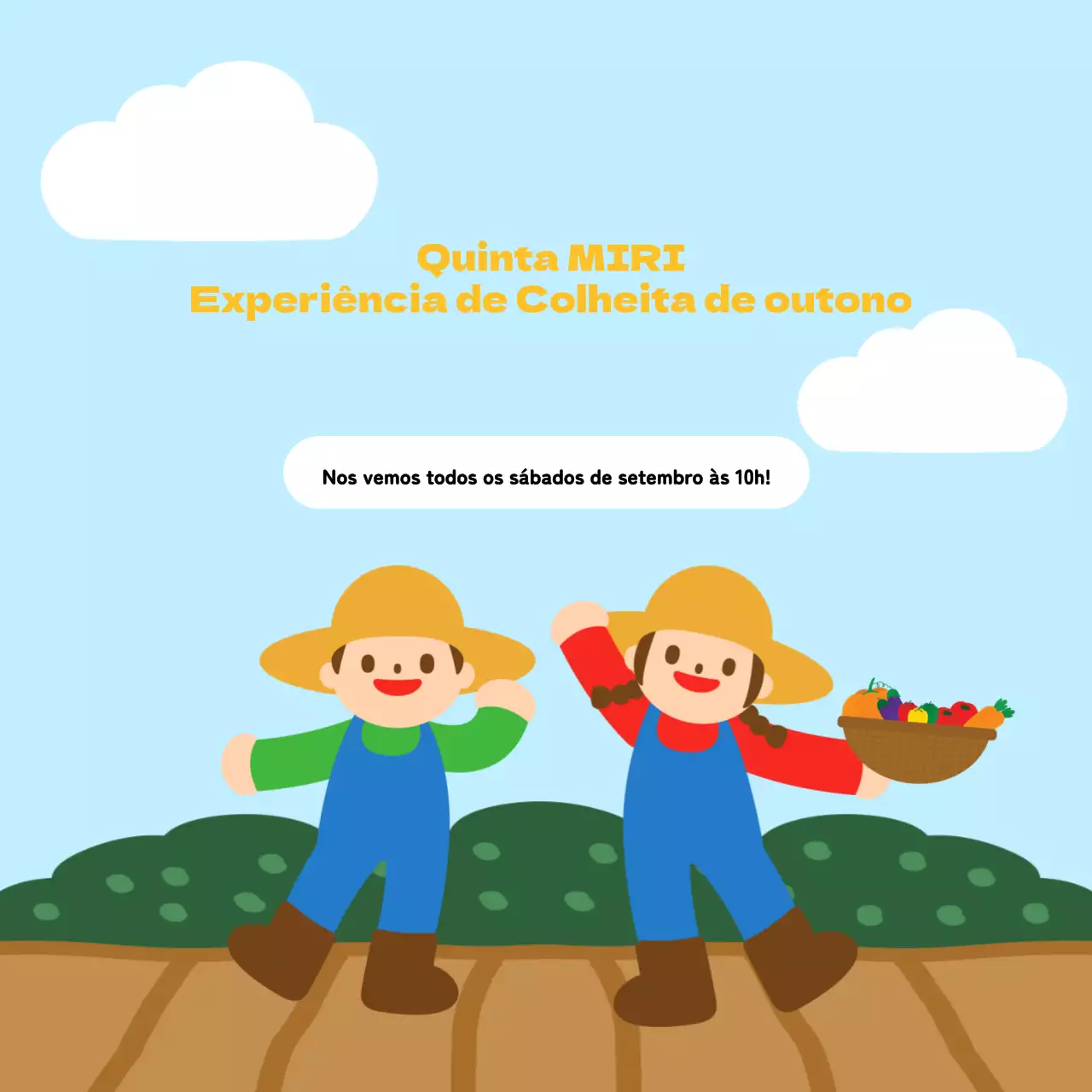 Informações sobre a colheita dos belos azuis e amarelos do outono
