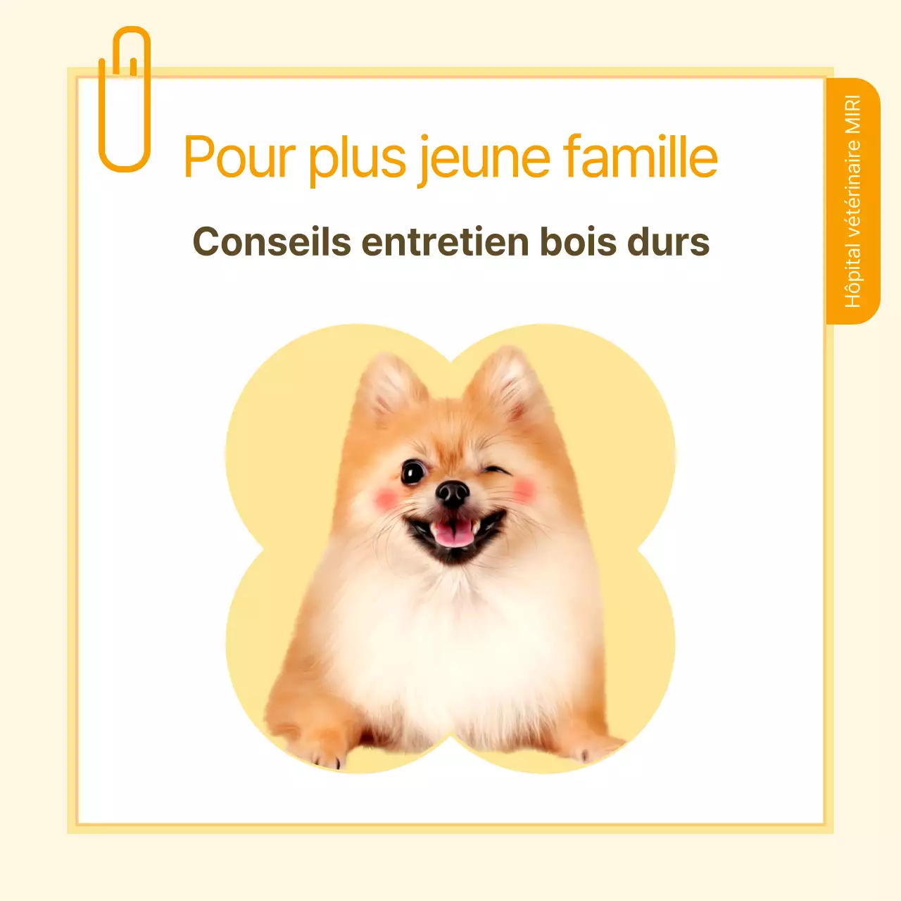 Informations sur les soins de santé des animaux de compagnie sous forme de notes jaunes et blanches