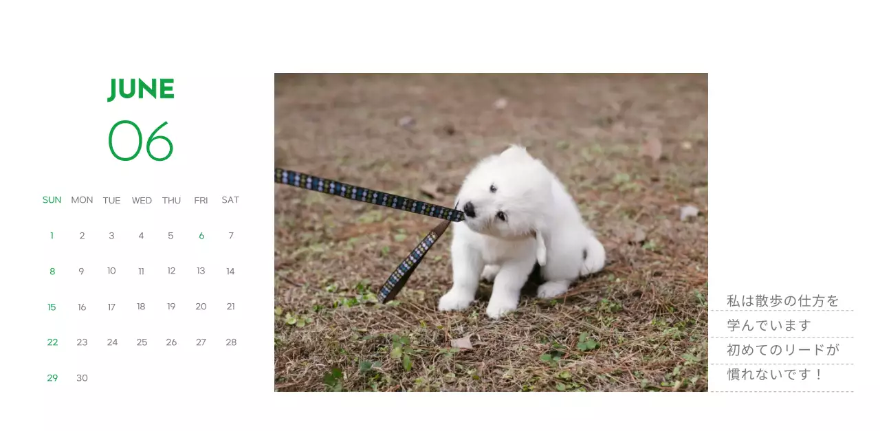 緑色のポイントカラーに子犬の写真とかわいいメッセージの入ったカレンダー