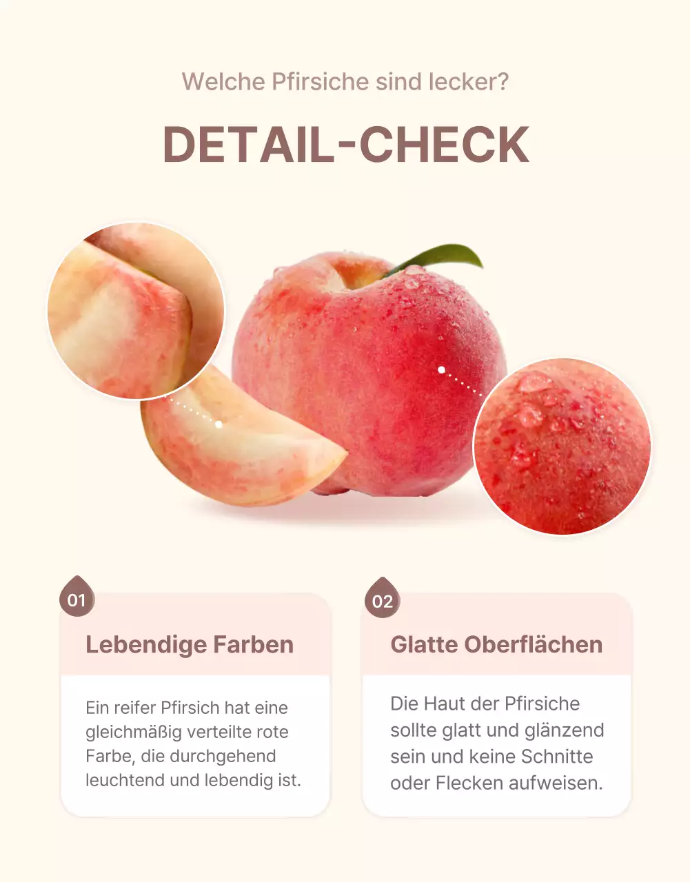 Werbung für frische pfirsichfarbene Optionen und Produktdetails in einem klaren Farbschema aus Gelb und Rosa