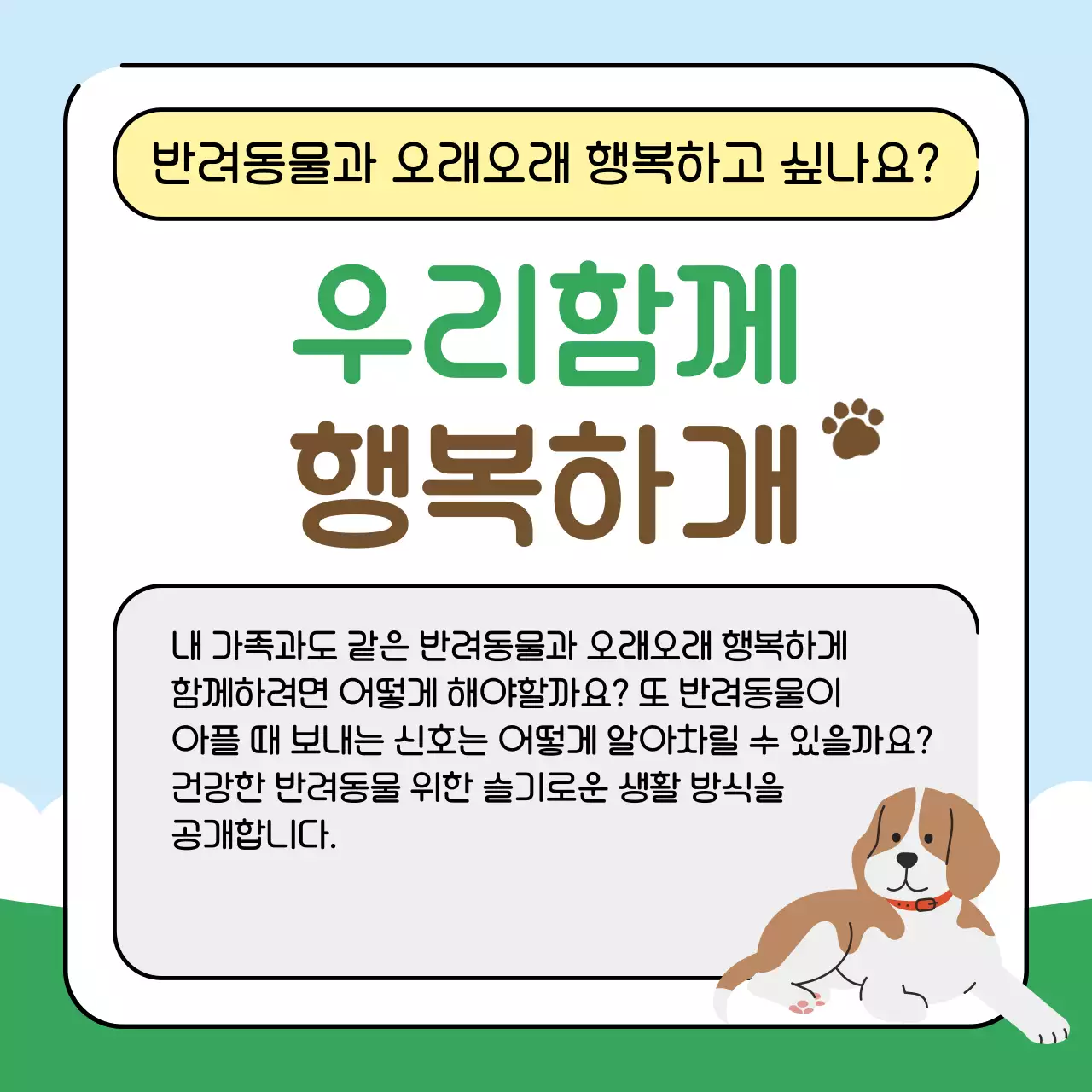 초록색과 하늘색의 아기자기한 반려동물 건강관리꿀팁 교육자료