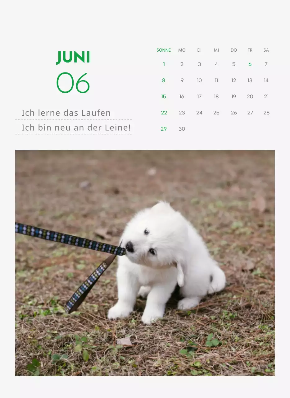 Ein Kalender mit einem Welpenfoto und einer süßen Botschaft in grüner Akzentfarbe