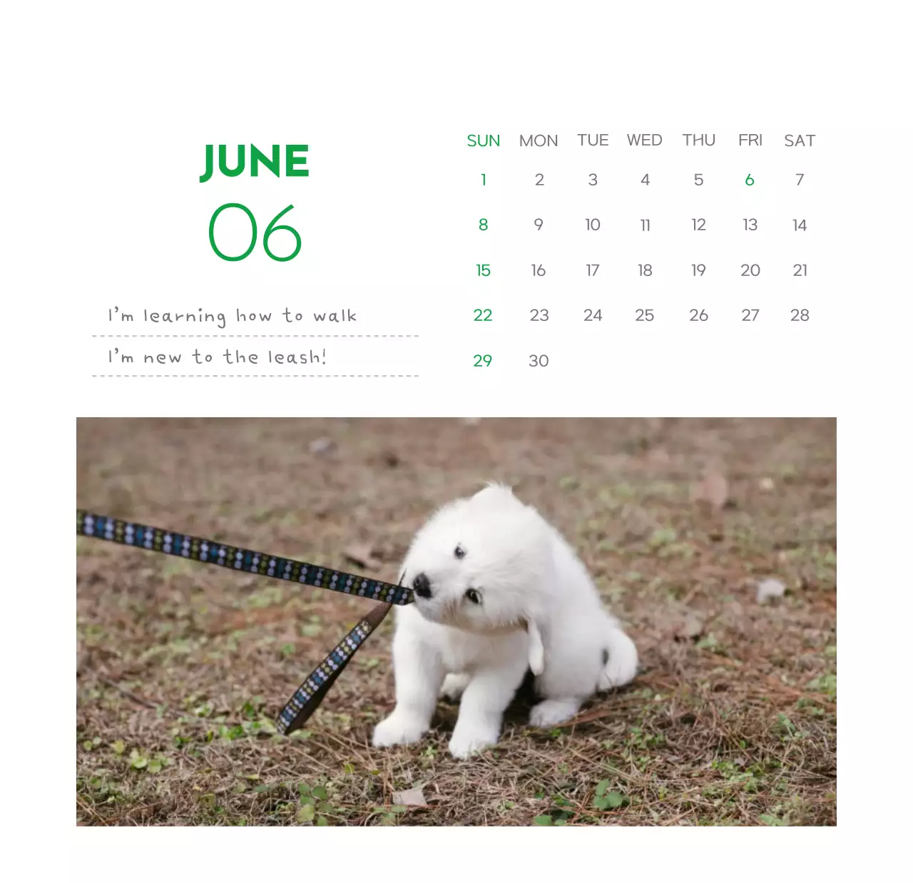 Một cuốn lịch có hình một chú chó và lời nhắn dễ thương màu xanh lục.
