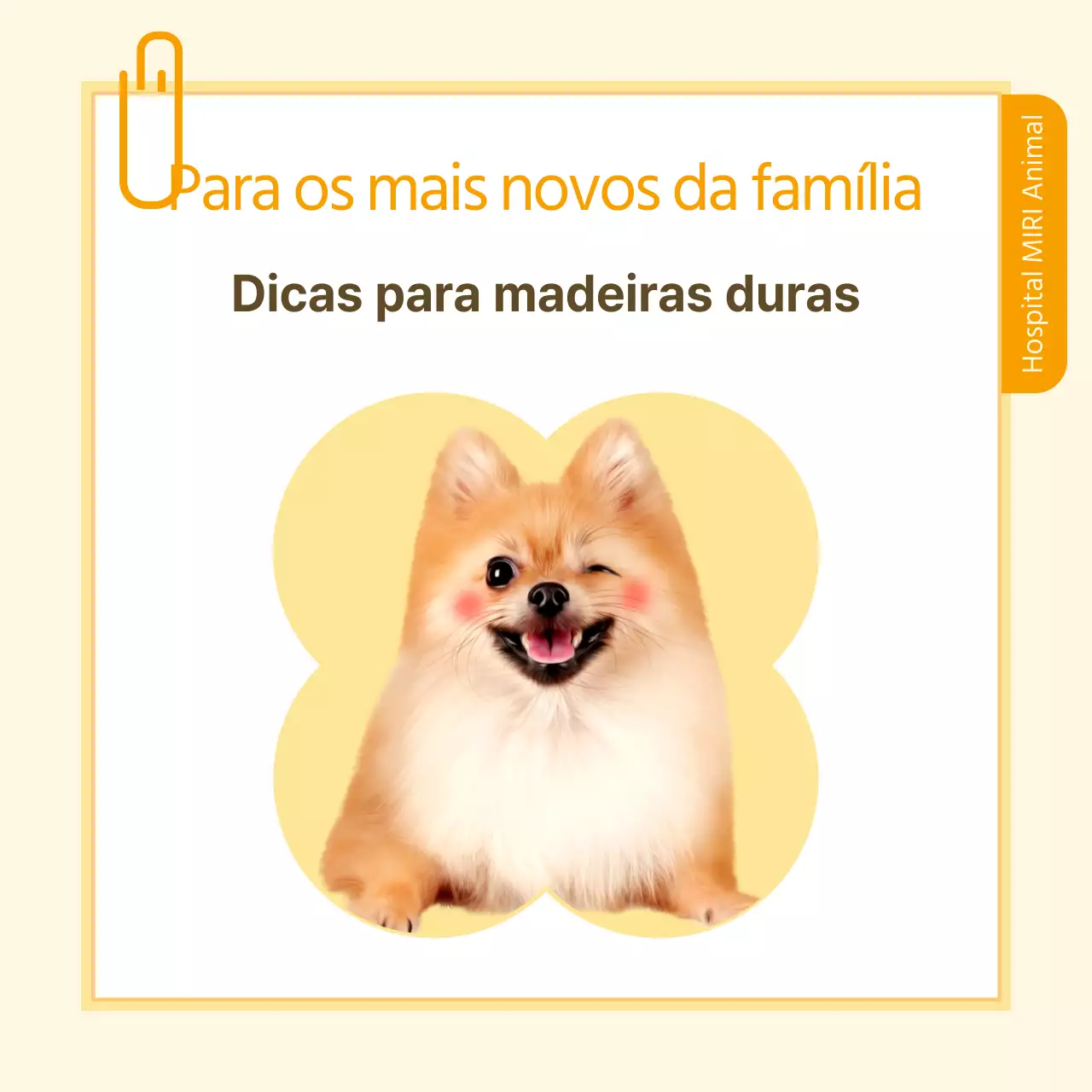 Informações sobre os cuidados de saúde dos animais de estimação em estilo de nota amarela e branca