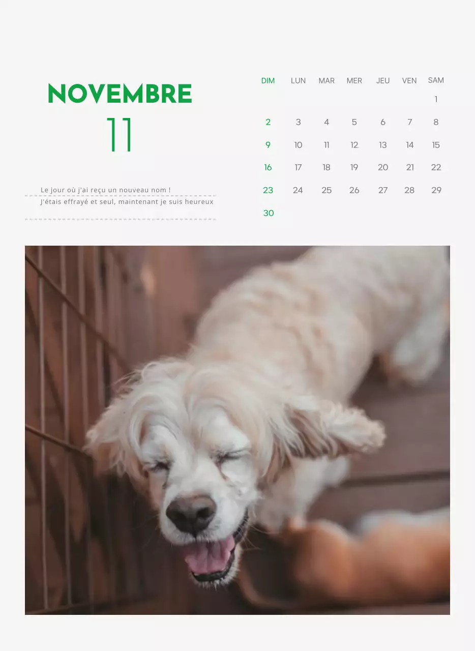 Un calendrier avec une photo de chiot et un message mignon dans une couleur verte.