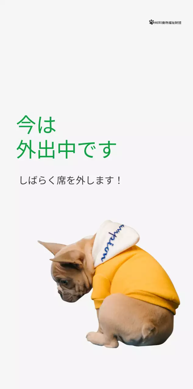 緑色のポイントカラーに子犬の写真とかわいいメッセージの入ったカレンダー