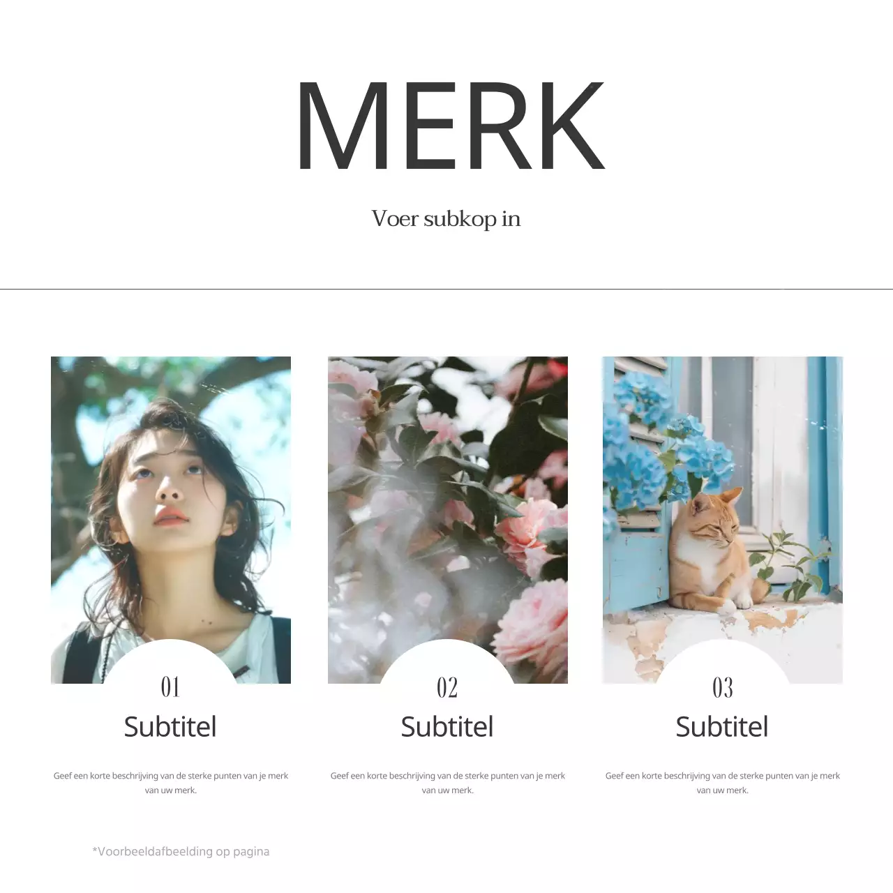 Een branded social media-post met een groen, vintage zomerthema