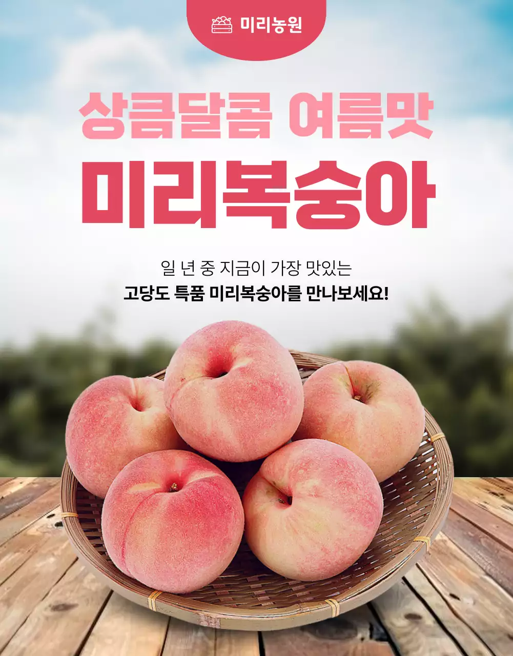 핑크의 기본적인 제철 과일 광고