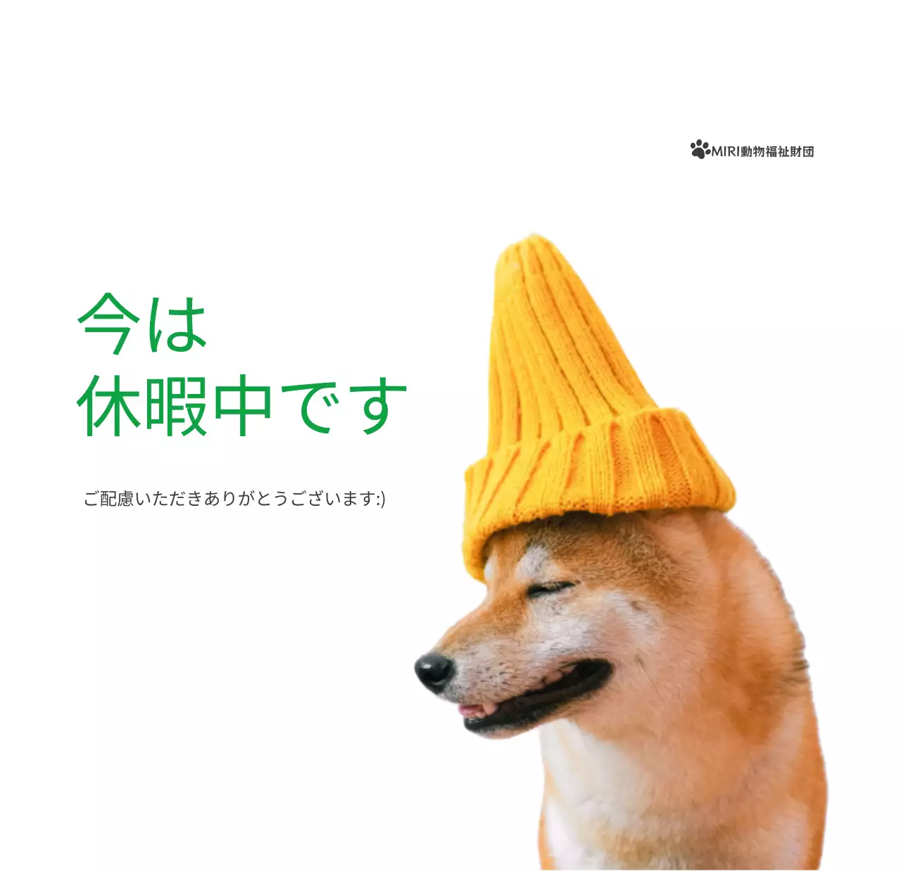 緑色のポイントカラーに子犬の写真とかわいいメッセージの入ったカレンダー