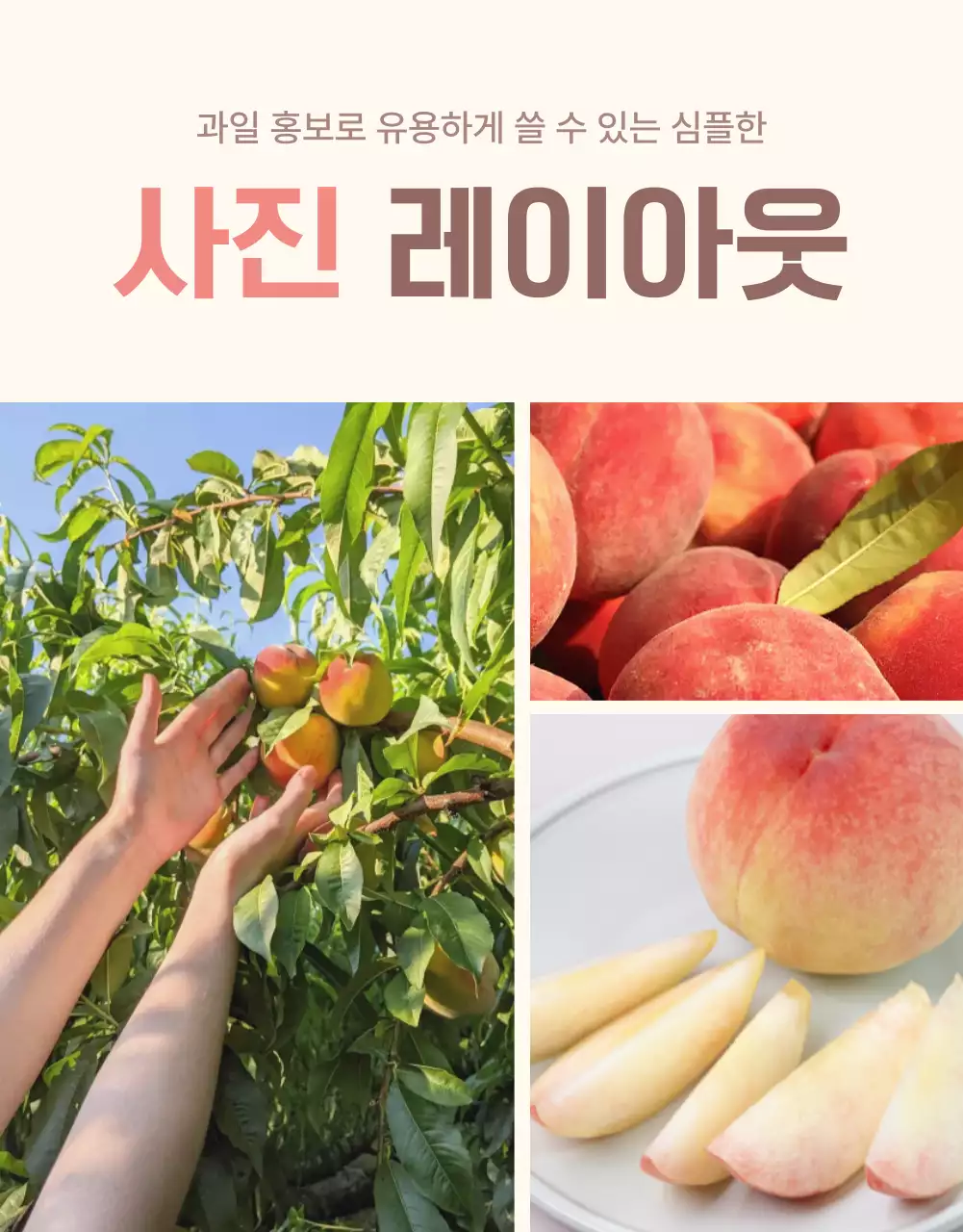 노랑과 핑크색의 깔끔한 상큼한 복숭아 사진 레이아웃 홍보