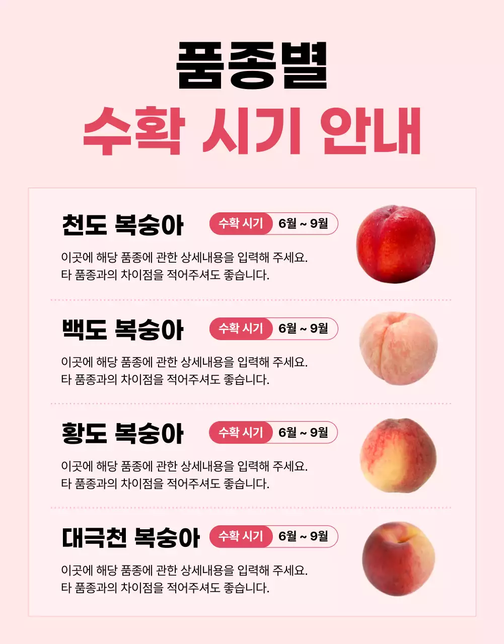 핑크의 기본적인 제철 과일 광고