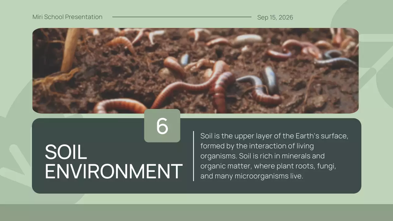 Green Simple Animal Presentation