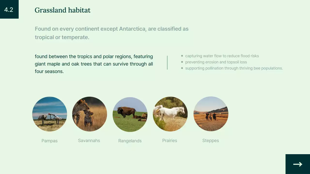 Green Educational Animal Lecture Presentation