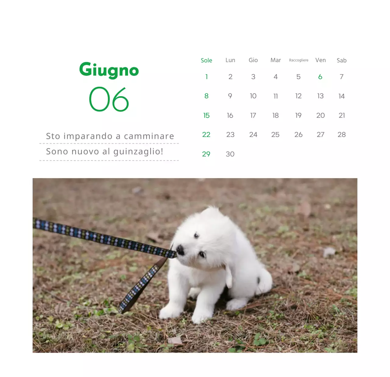 Un calendario con la foto di un cucciolo e un simpatico messaggio in colore verde.
