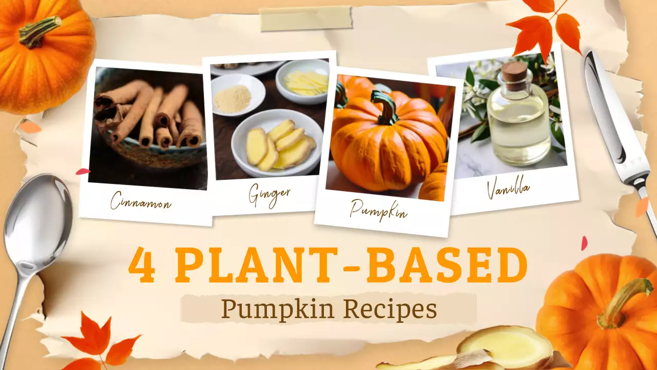 Orange Rustic Recipes Guide YouTube Thumbnail