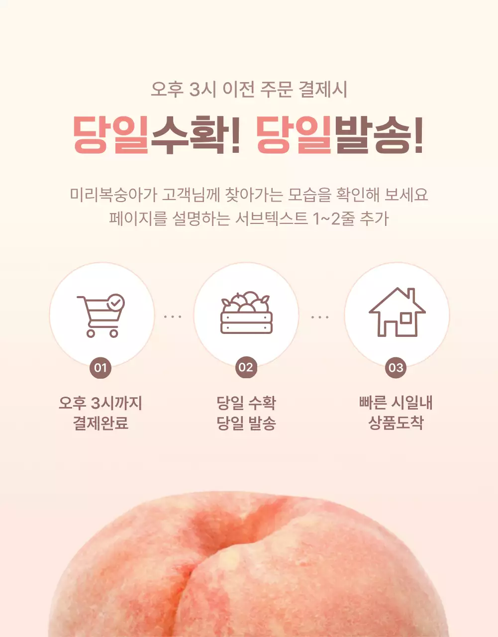 노랑과 핑크색의 깔끔한 상큼한 복숭아 안내 및 주의사항 홍보