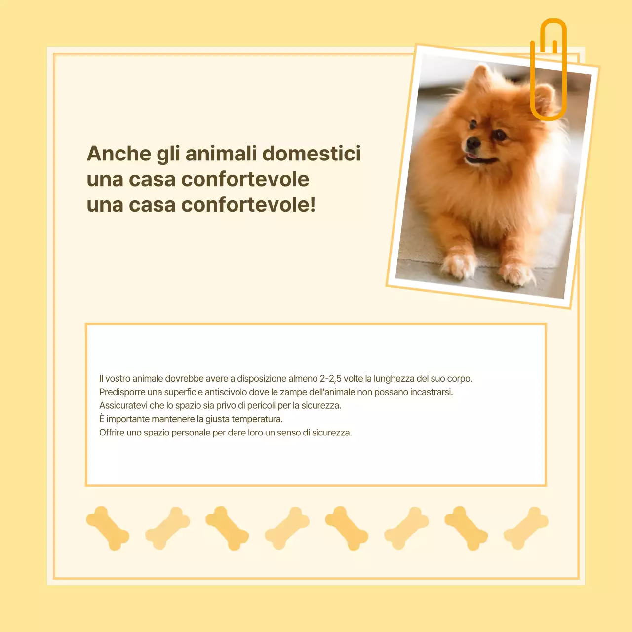 Informazioni sulla salute degli animali domestici in stile note gialle e bianche